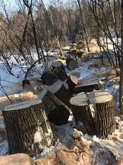 环境损害鉴定评估专家