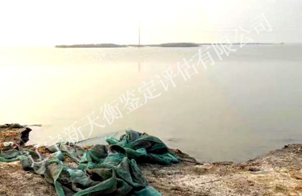 淡水鱼损失价格鉴定