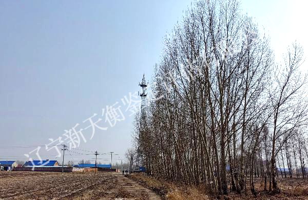 林带致花生减产鉴定