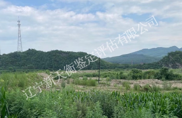 杨树防护林被毁​因果鉴定