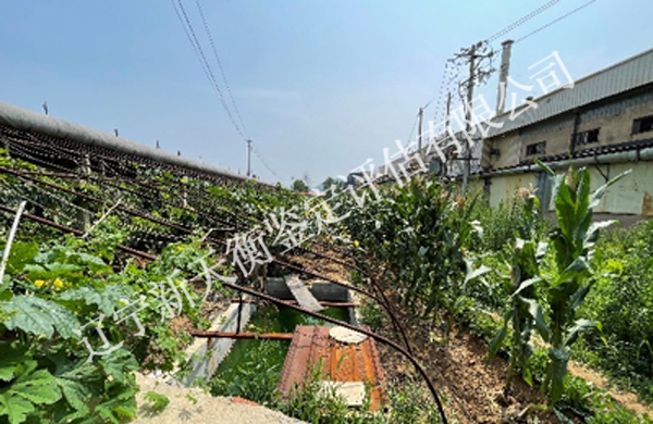 樱桃遮光损失鉴定评估