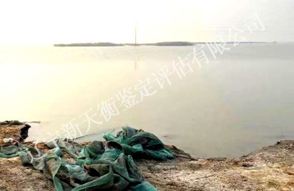 淡水鱼损失价格鉴定