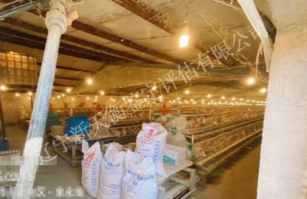 产蛋下降因果鉴定