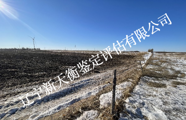 xx 县 xx 镇青贮玉米亩产量司法鉴定