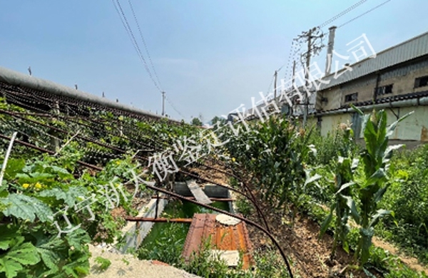 樱桃遮光损失鉴定评估