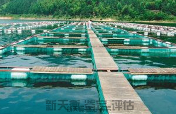 上海海洋水产、渔业资源养殖鉴定-污染损失评估