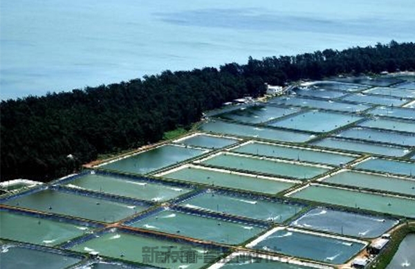 上海水库虾蟹鱼池鉴定评估-技术鉴定评估