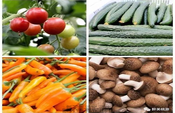 海南农作物农产品农资鉴定及价格评估