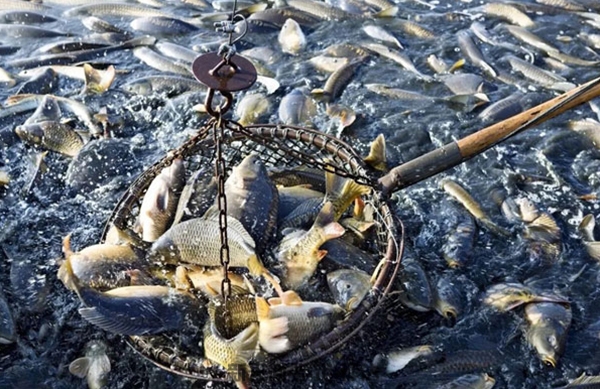 河北海洋水产及陆地渔业资源资产鉴定与评估