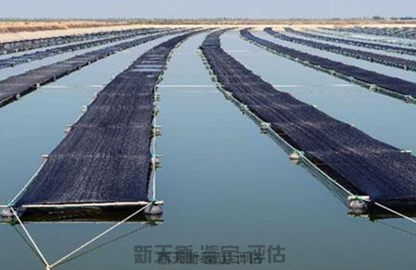 河北海洋水产资源鉴定技术-损失价格评估