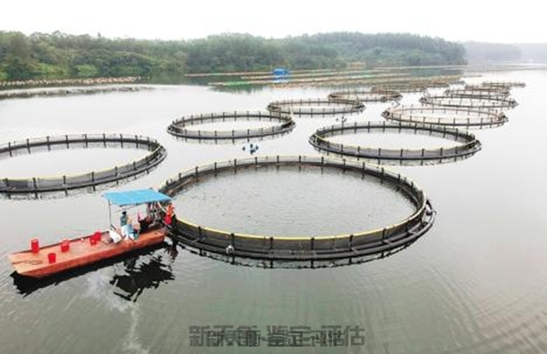 上海陆地河流水库鱼塘损失鉴定核量评估