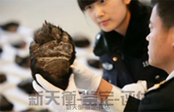 无锡野生动物生物资源资产鉴定与评估