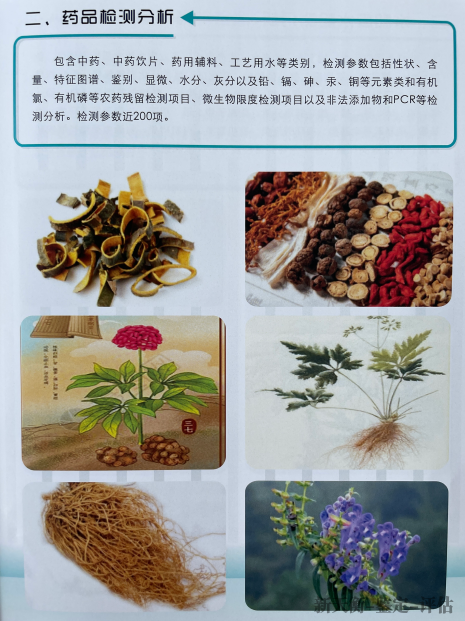 中草药植物、林下参、红豆杉等珍惜树种鉴定