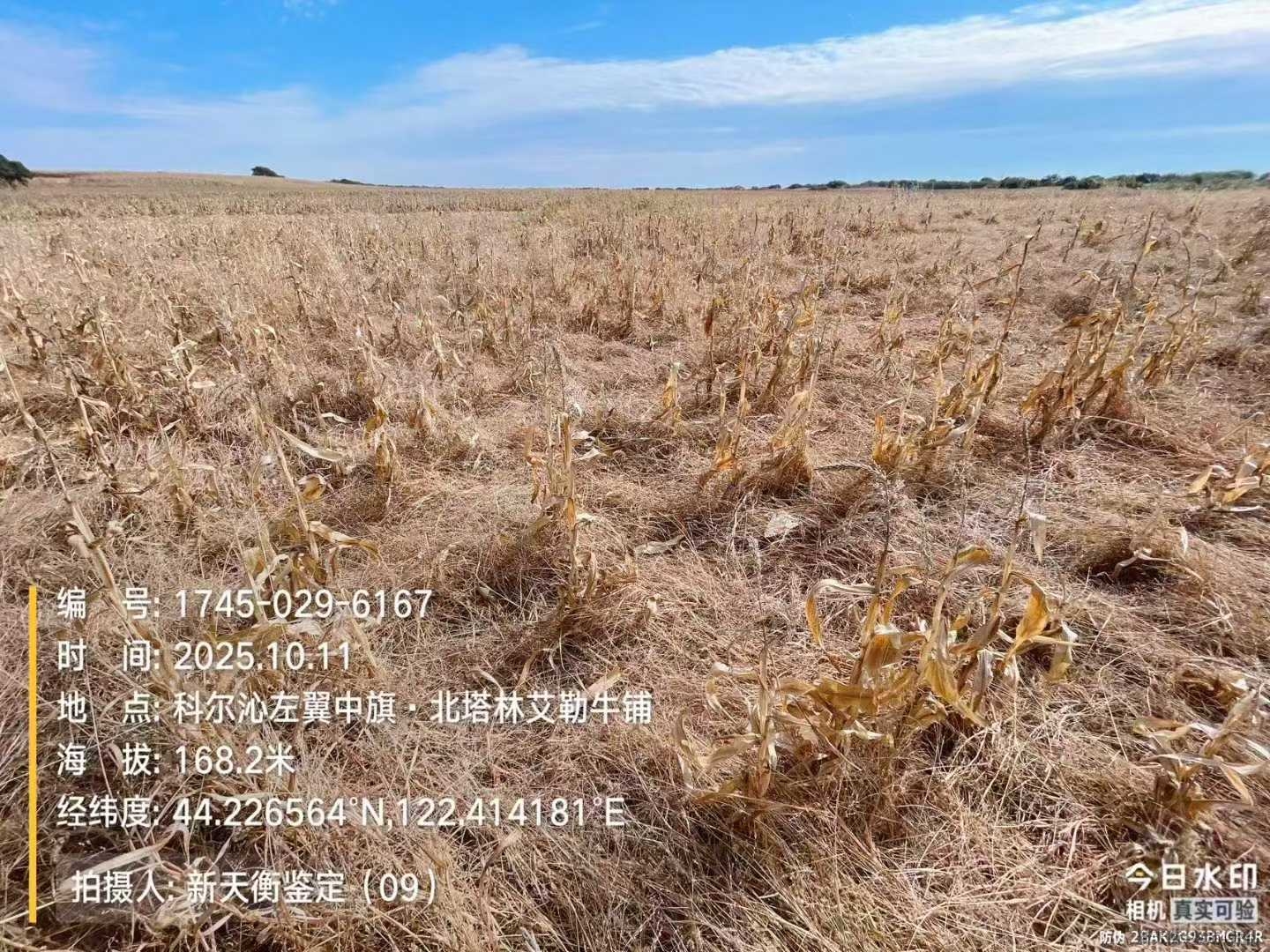 黑龙江农作物果蔬技术鉴定评估