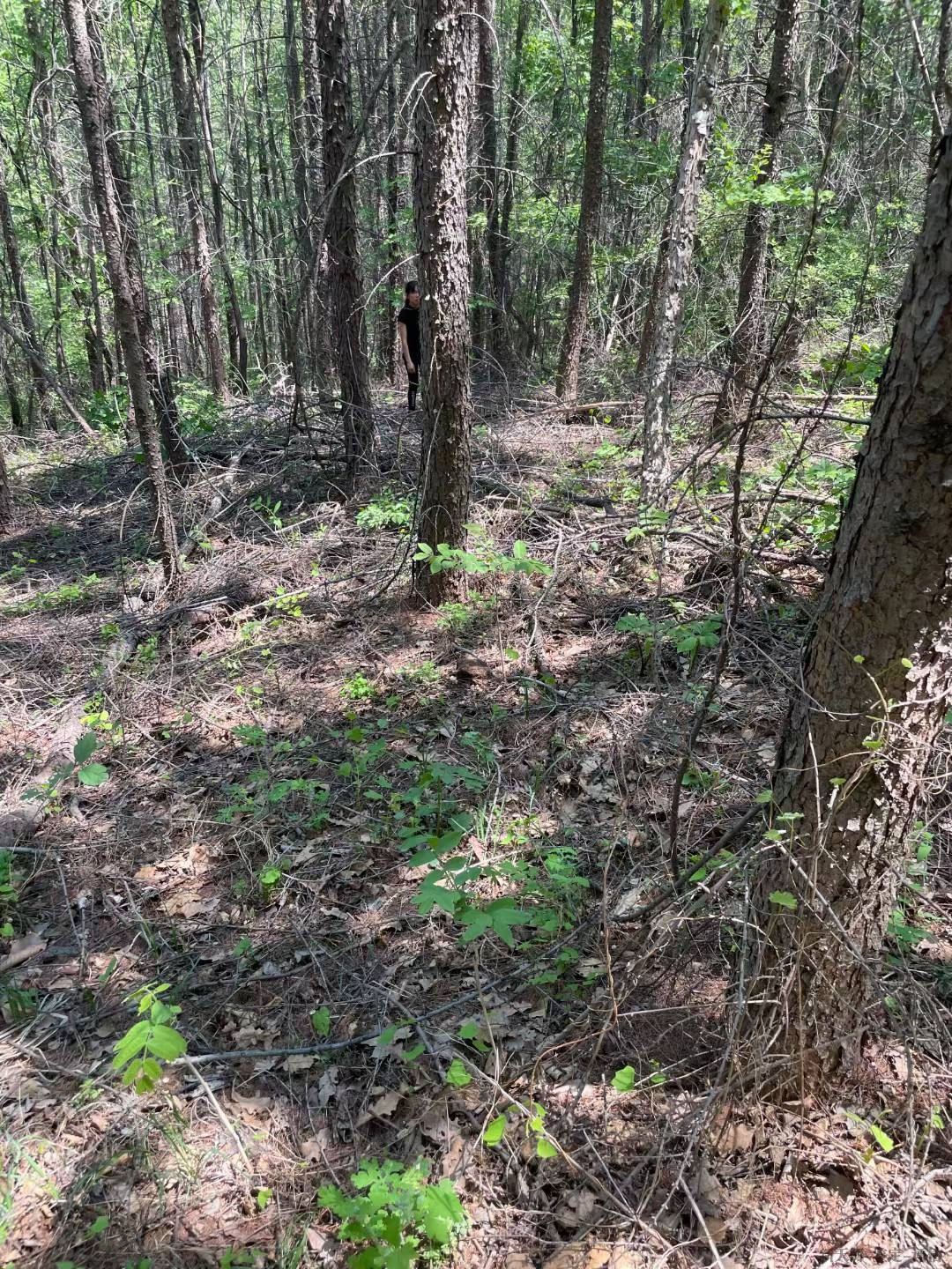 生态破坏水体植被动物司法鉴定