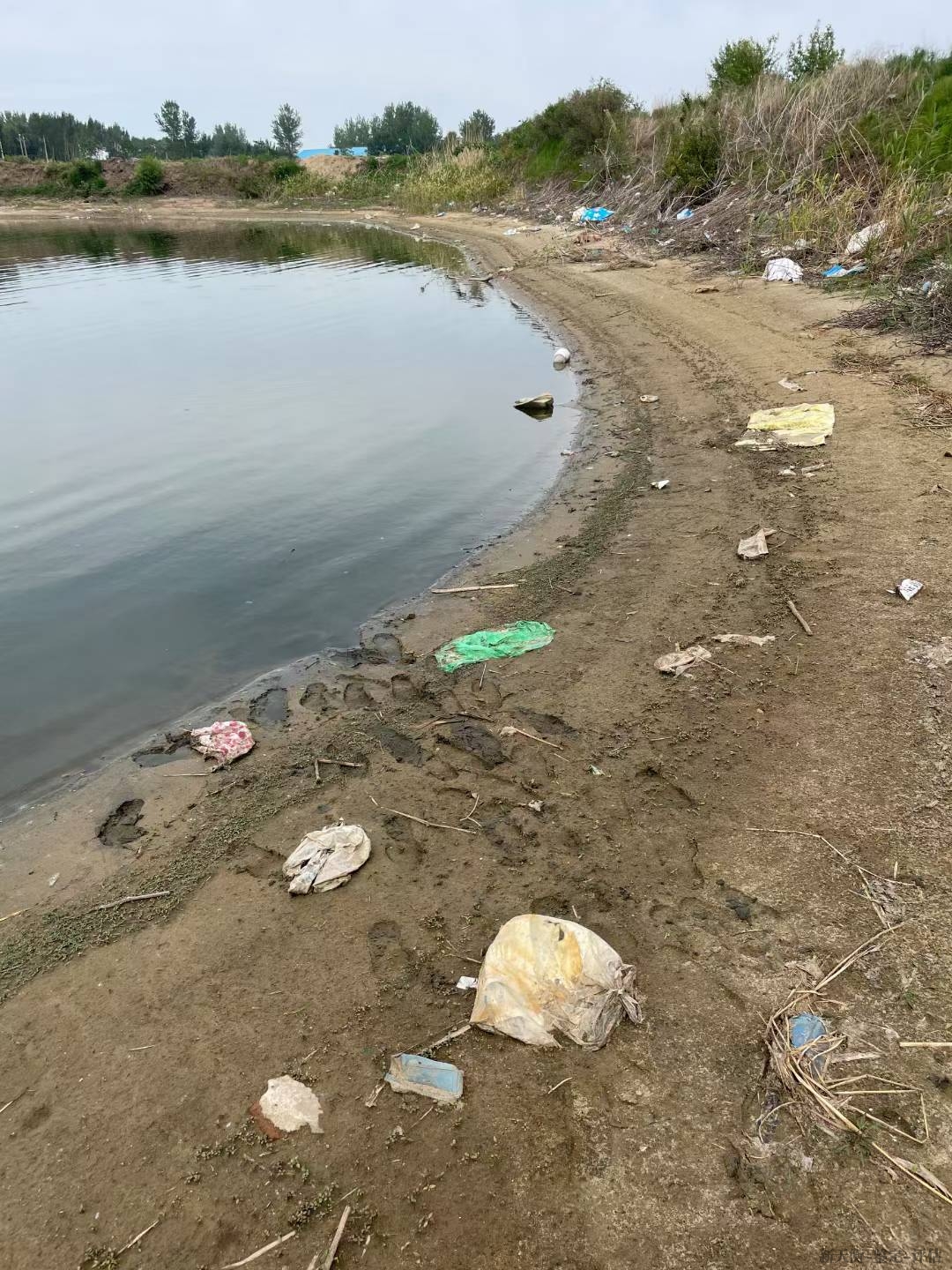 海洋水产与陆地渔业资源资产损失价格评估