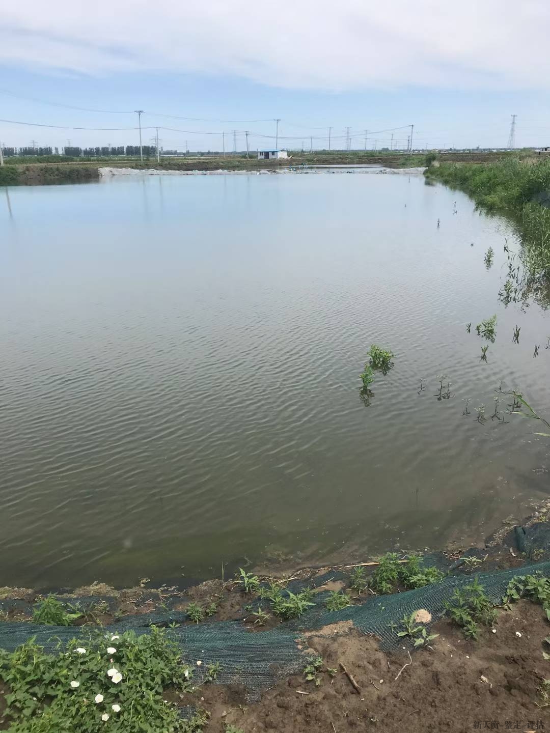 海洋水产及陆地渔业资源资产鉴定与评估