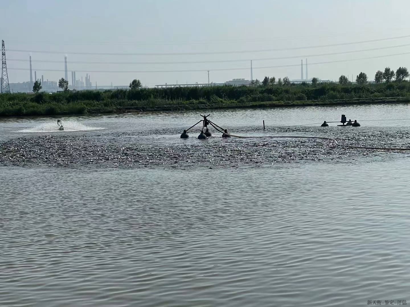 海洋水产资源鉴定技术-损失价格评估