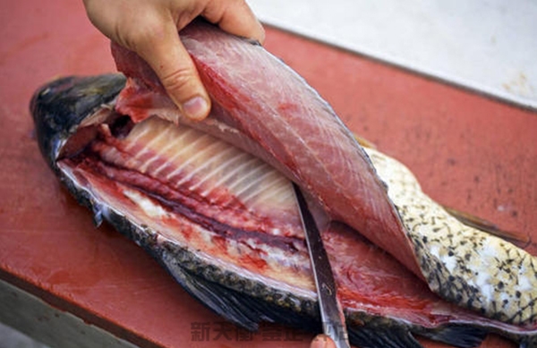 各类水产鱼类无脊椎损失价格评估