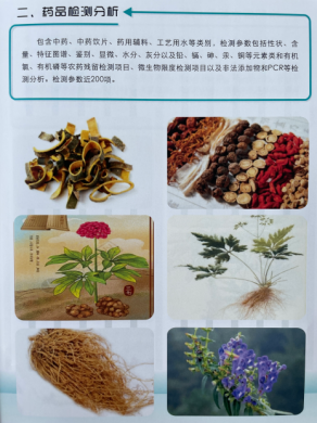 中草药植物、林下参、红豆杉等珍惜树种鉴定