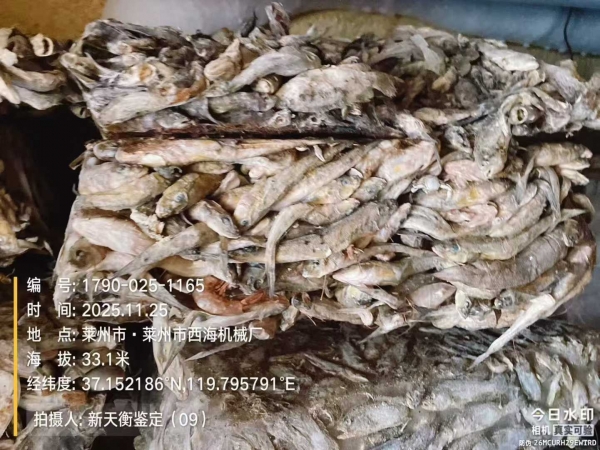 水库虾蟹鱼池鉴定评估-损失因果鉴定