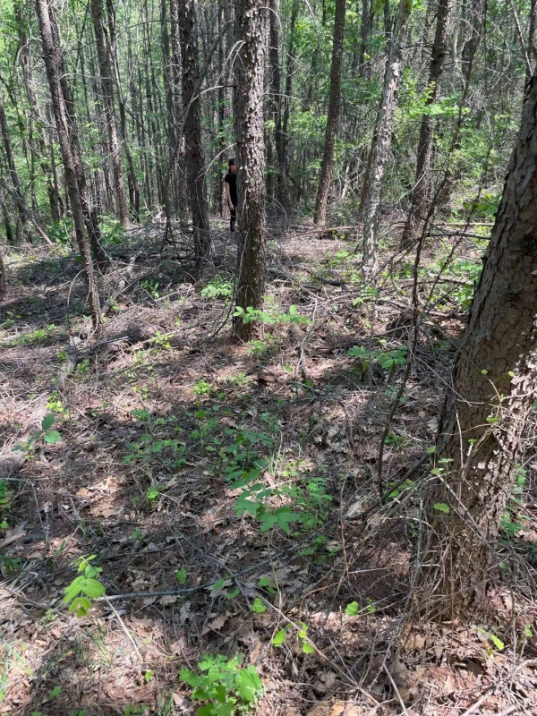生态破坏水体植被动物司法鉴定