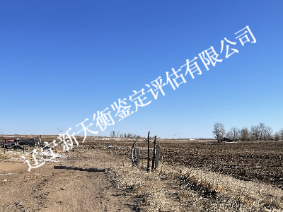青贮玉米亩产量司法鉴定