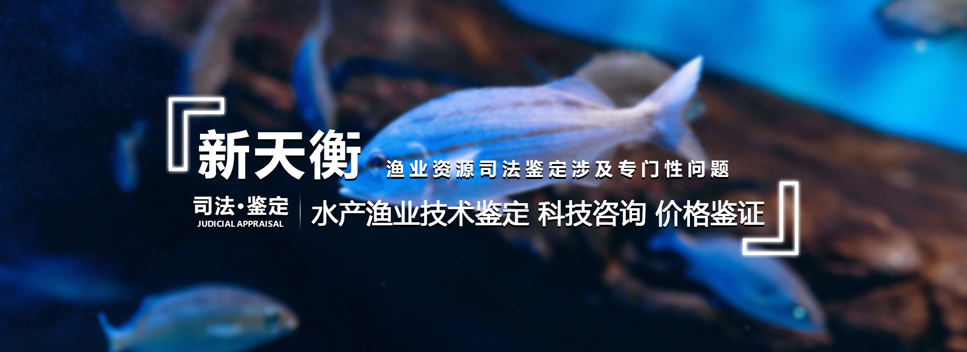 海洋水产渔业司法鉴定与损失评估服务