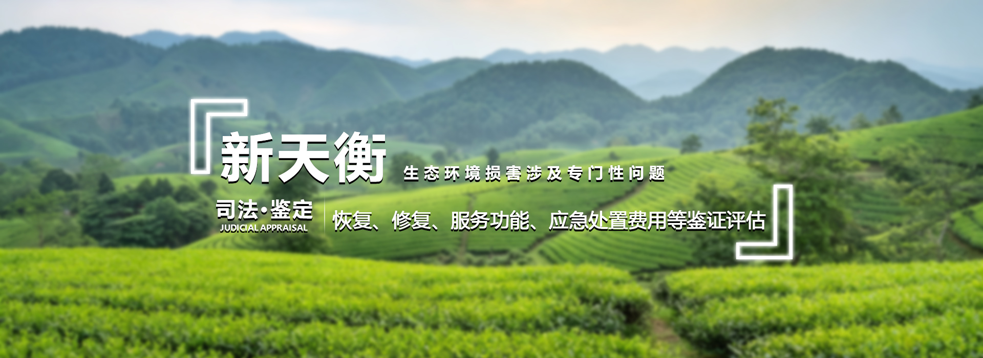 生态环境损害鉴定与恢复费用损失评估