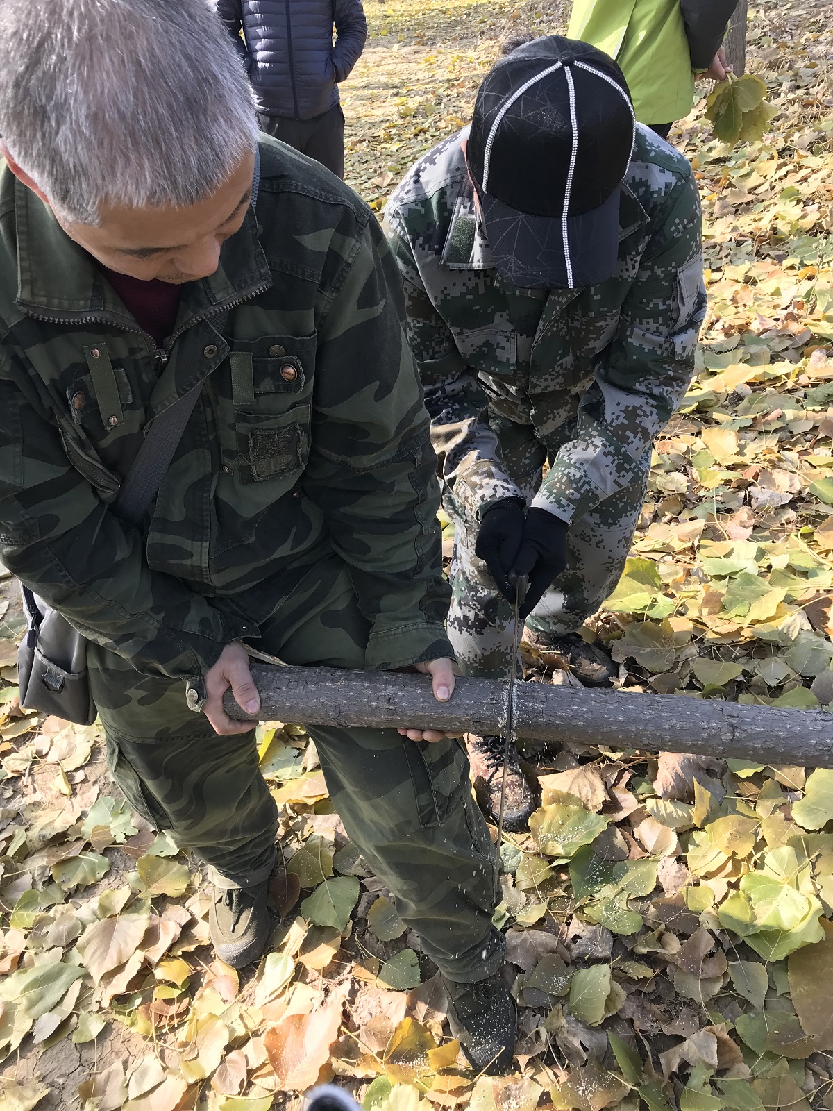 生态环境损害恢复价格评估
