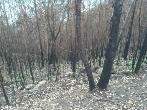 环境损害价格评估哪家好