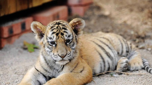 1560766375347130.jpg u=782272045,2034643822&fm=26&gp=0.jpg