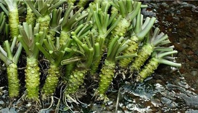 1569657635883551.jpg u=205392030,1229229040&fm=26&gp=0.jpg