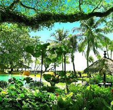 热带雨林生态系统 热带雨林生态系统