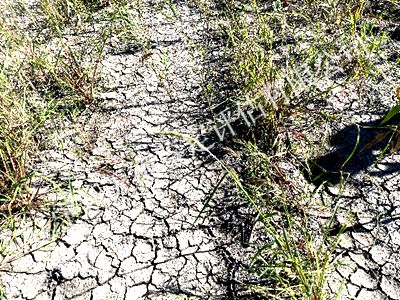 1750297812695448.jpg 图片67__副本400x300.jpg