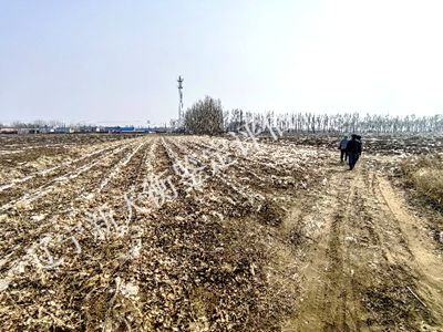 1750300431722186.jpg 图片58__副本400x300_副本.jpg