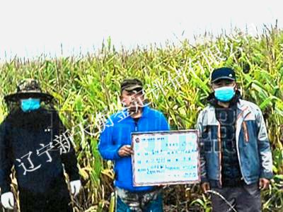 1750300963868973.jpg 图片52-400x300_副本.jpg