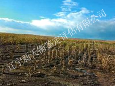 1750301016473502.jpg 图片54-400x300_副本.jpg