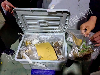 1750302089345981.jpg 图片43_副本400x300.jpg