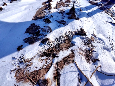 1750302106832086.jpg 图片44_副本400x300.jpg