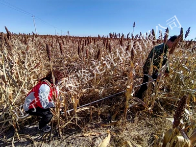 1750302557432494.jpg 图片38_副本400x300.jpg