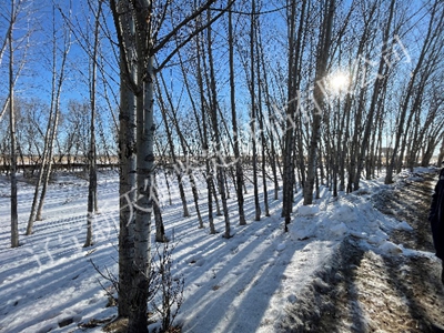 1750303040506140.jpg 图片33_副本400x300.jpg