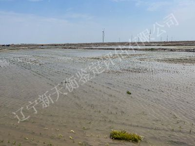 1750303521301112.jpg 图片28_副本400x300.jpg