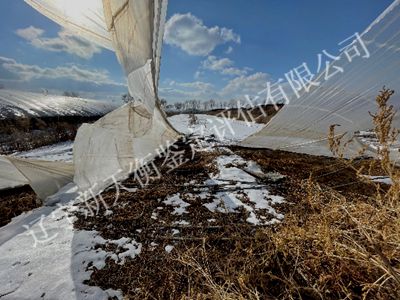 1750305163946210.jpg 图片13_400x300.jpg