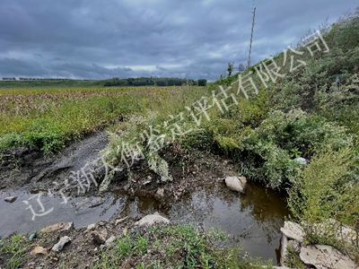 1750305630344316.jpg 图片10_400x300.jpg