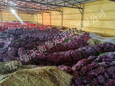 1750305901954223.jpg 图片5_400x300.jpg