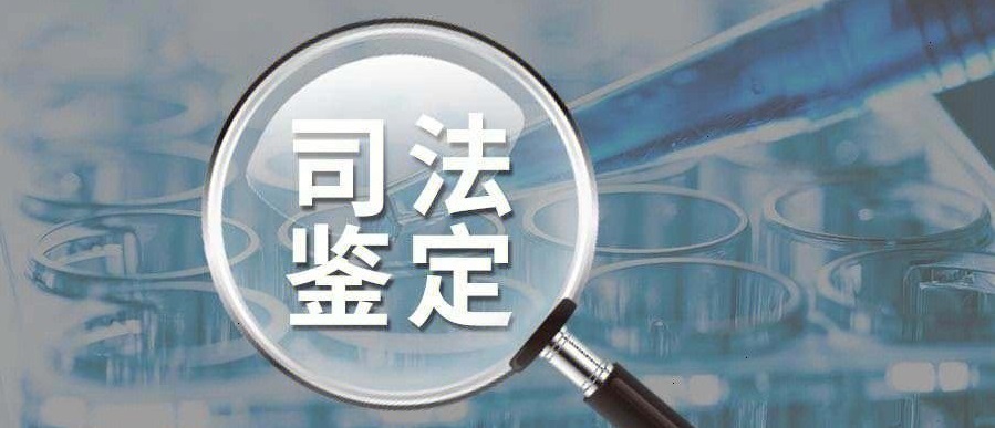 1767314428597782.jpeg 0.jpeg