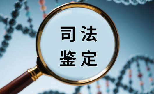 1767314938792210.jpeg 65c9945bc37f2af812a0708f62a41565.jpeg