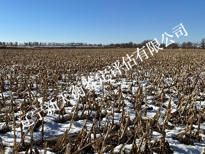 1769416030751660.png 图片1_副本.png